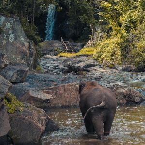 River Visits