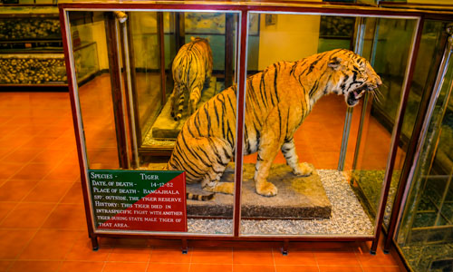 Dhangarhi Museum & Gate