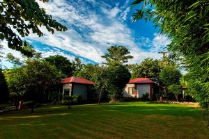 corbett-machaan-resort